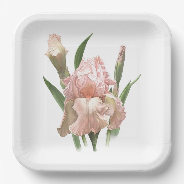 Pink Ruffled Iris Botanical Art Paper Plate (Front)