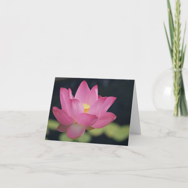 Pink sacred lotus flower note card (Front)