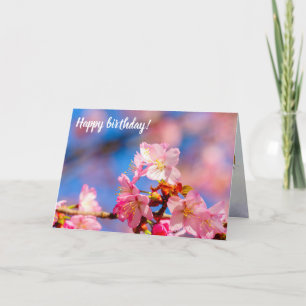 Pink Sakura Blossoms On A Sunny Day Of Spring Card