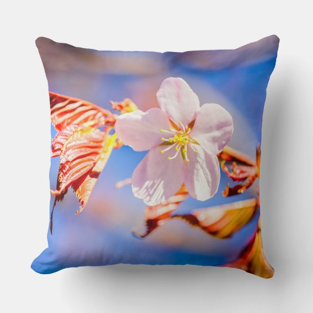 Pink Sakura Flower Blue Sky Cushion (Front)