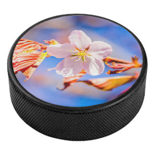 Pink Sakura Flower Blue Sky Hockey Puck