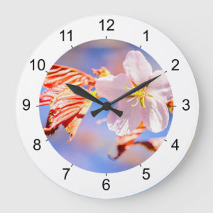 Pink Sakura Flower Blue Sky Large Clock