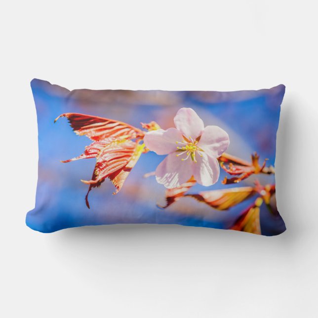 Pink Sakura Flower Blue Sky Lumbar Cushion (Front)