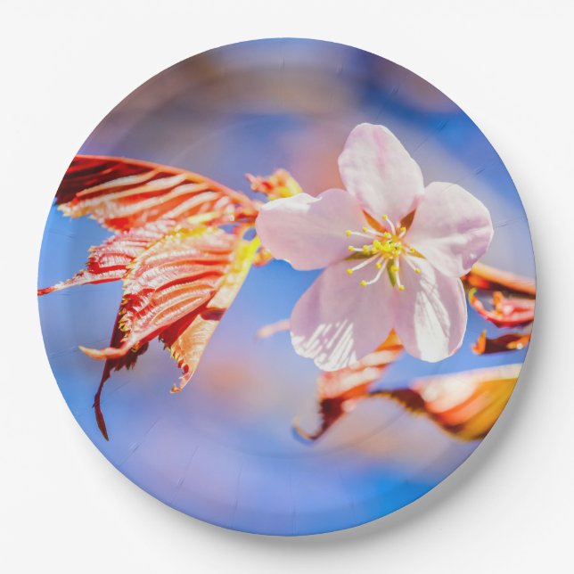 Pink Sakura Flower Blue Sky Paper Plate (Front)