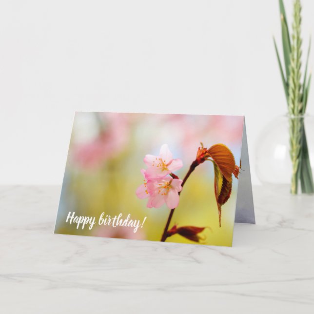 Pink Sakura Flowers And Red Leaves In Springtime Card (Front)