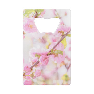 Pink sakura flowers - Japanese cherry blossom
