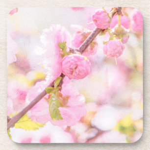 Pink sakura flowers - Japanese cherry blossom Coaster