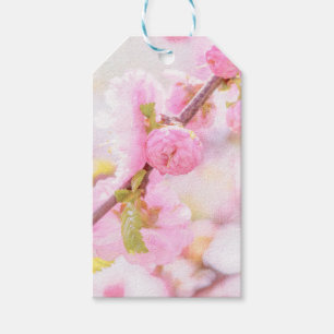 Pink sakura flowers - Japanese cherry blossom Gift Tags