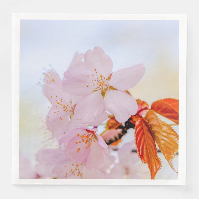 Pink sakura flowers - Japanese cherry blossom Napkin (Front)