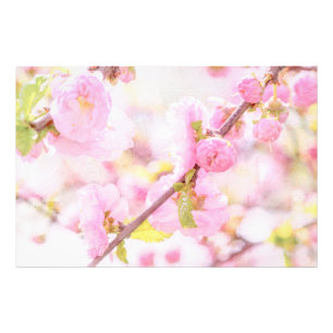 Pink sakura flowers - Japanese cherry blossom Photo Print