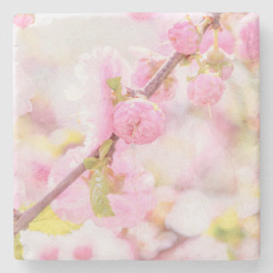 Pink sakura flowers - Japanese cherry blossom Stone Coaster