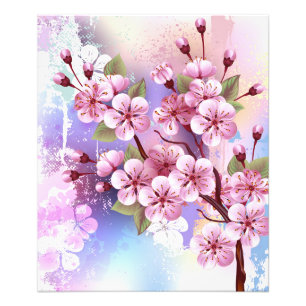 Pink Sakura on Painting Background Photo Print