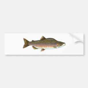 Pink Salmon Bumper Sticker