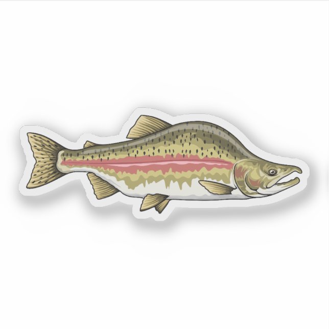 Pink Salmon Spawning Phase (Front)