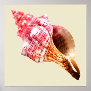 Pink Sandy Conch Shell Poster