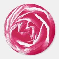 Pink satin rose print
