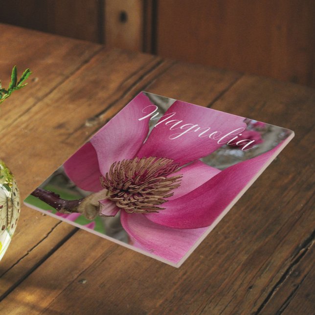 Pink Saucer Magnolia Blossom Floral Tile (In Situ)