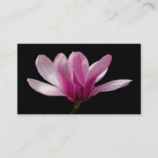 Pink Saucer Magnolia Blossoms Business Card (Front)