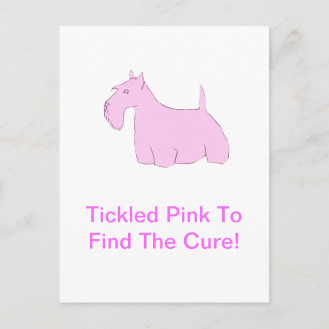 Pink Scottish Terrier Postcard (Front)