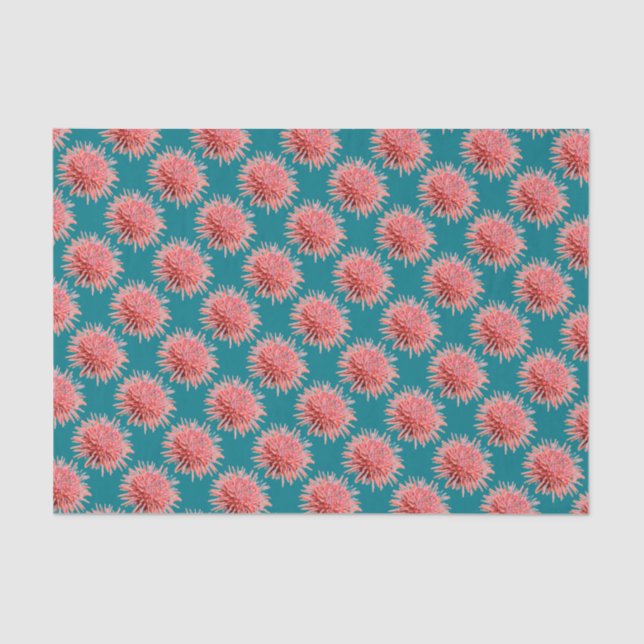 Pink Sea Urchins on Teal Tissue Paper (Front)