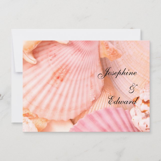 Pink Seashells (Front)