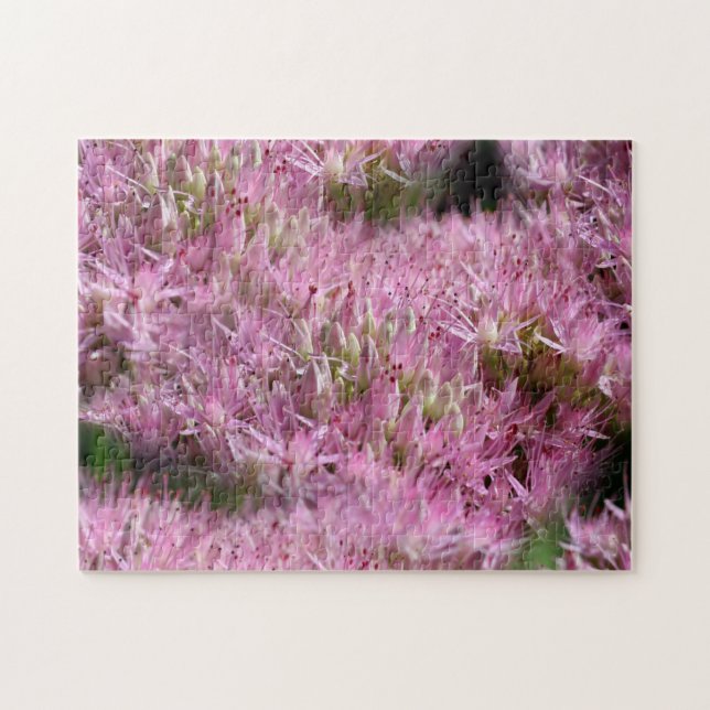 Pink Sedum Autumn Flowers Multiplied  Jigsaw Puzzle (Horizontal)