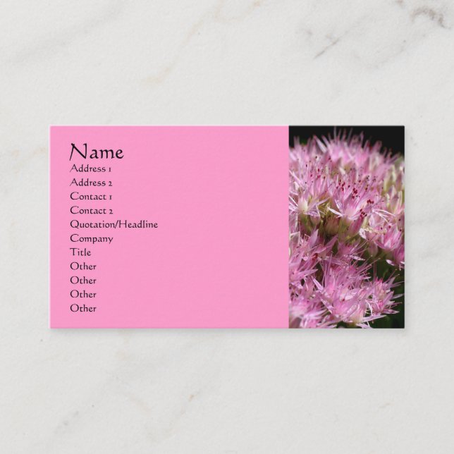 Pink Sedum Flower Photography Business Card (Front)