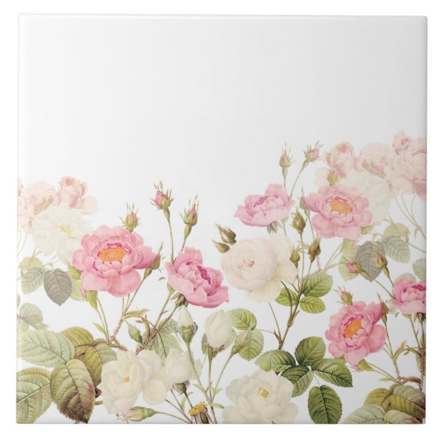 Pink Sepia Vintage Roses Meadow Illustration Tile (Front)