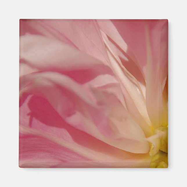 Pink Shade Magnet (Front)