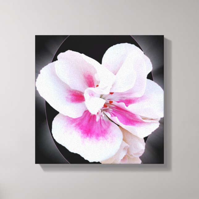 Pink Shades Canvas Print (Front)