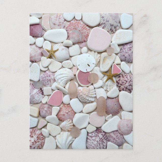 Pink shell sea glass beach glass art photo pottery postcard (Front)