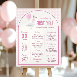 Pink Silly Goose Balloon Birthday Milestone Sign