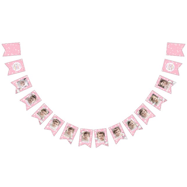 Pink Silly Goose-Girl First Birthday Monthly Photo Bunting (All)