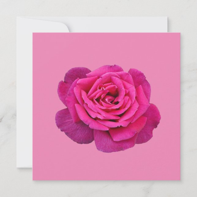 Pink single rose invitation (Front)