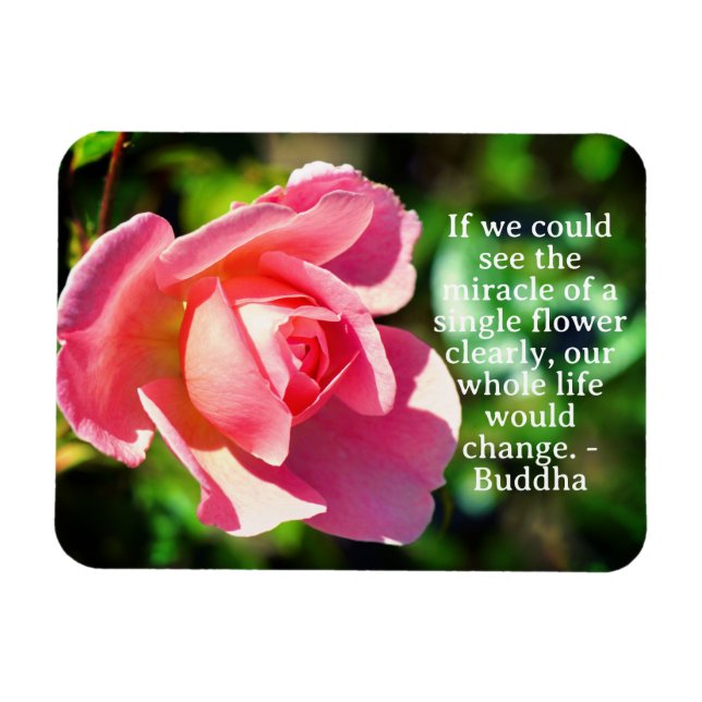 Pink Single Rose Motivational Quote Magnet (Horizontal)