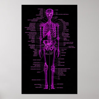 pink skeleton poster