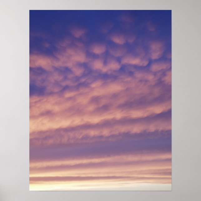 Pink Sky Poster Print (Front)