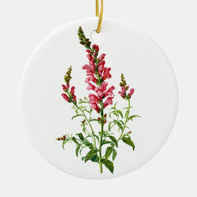 Pink Snapdragon Drawn From Nature Ceramic Tree Decoration (Front)