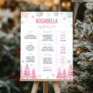 Pink Snowflake Birthday Party Milestone Poster