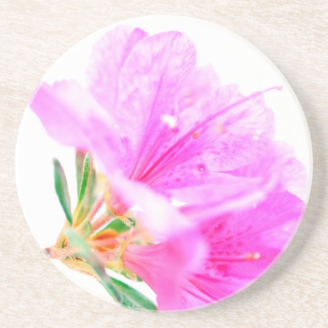 Pink Soft Floral Coaster (Front)
