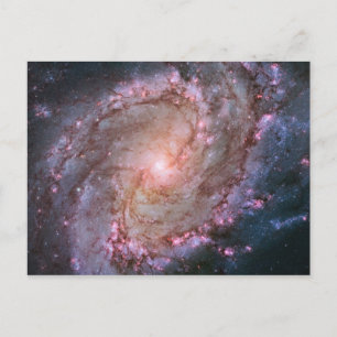 Pink Space Photo Spiral Galaxy M83 Postcard