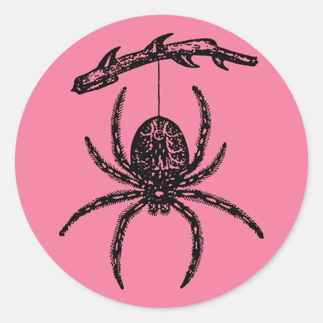 Pink Spider Classic Round Sticker (Front)