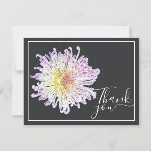 Pink Spider Mum With Grey Background Thank You Postcard