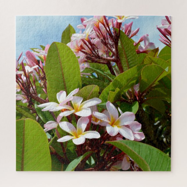 Pink Splendor, Pink Frangipani Blooms On A Tree Jigsaw Puzzle (Vertical)