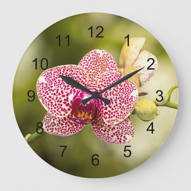 Pink spotted orchid  large clock (Front)