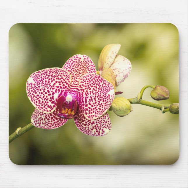 Pink spotted orchid mouse mat (Front)
