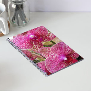 Pink Spotted Phalaenopsis Orchids Floral Photo Notebook