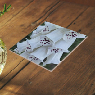 Pink Spotted White Foxglove Floral Tile