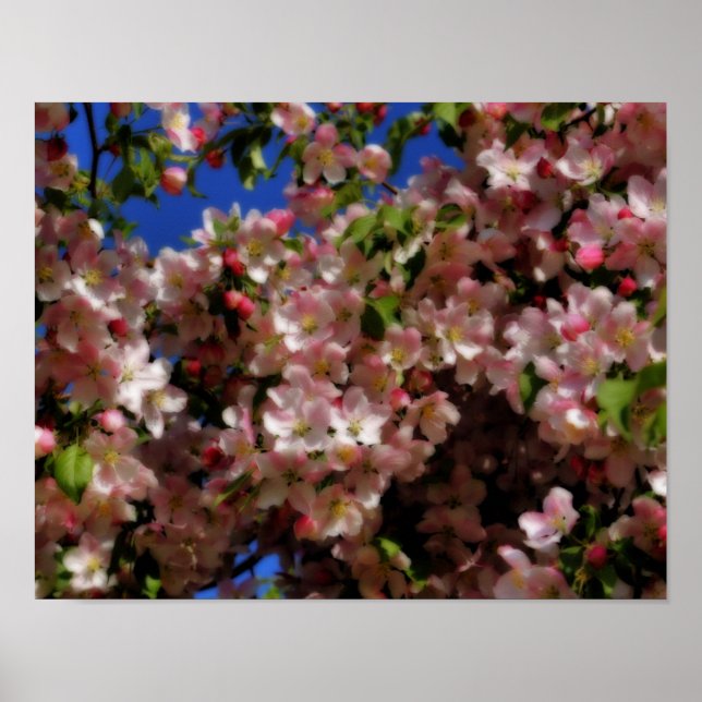 Pink Spring Blossoms Blue Sky Orton Art Poster (Front)