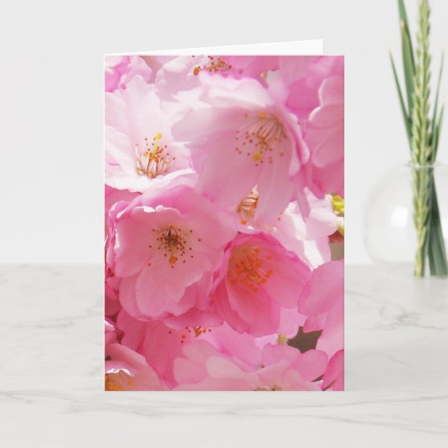 Pink Spring Blossoms Card (Front)